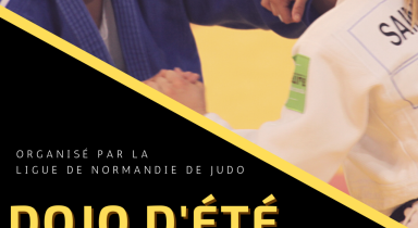 2e édition du Dojo Eté à Petit Couronne