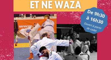 Stage régional Jujitsu et Ne Waza à Saint Lô