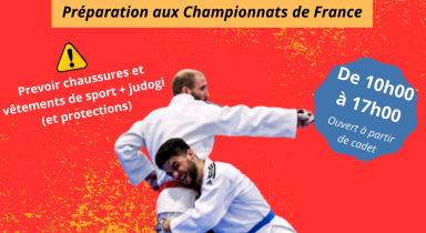 Stage Régional Jujitsu Fighting - Préparation des Championnats de France 2024