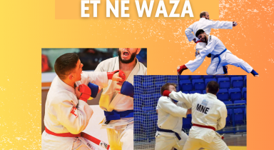 Stage Régional Jujitsu et Ne Waza n°3