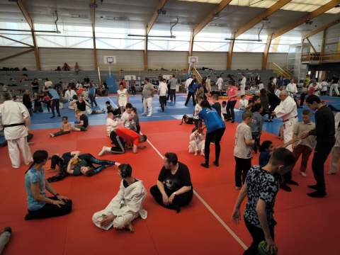 Montivilliers : 225 personnes en situation de handicap découvrent le judo